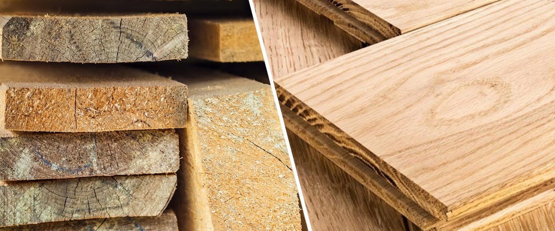 The Essential Guide to Hardwood and Softwood for Woodworking